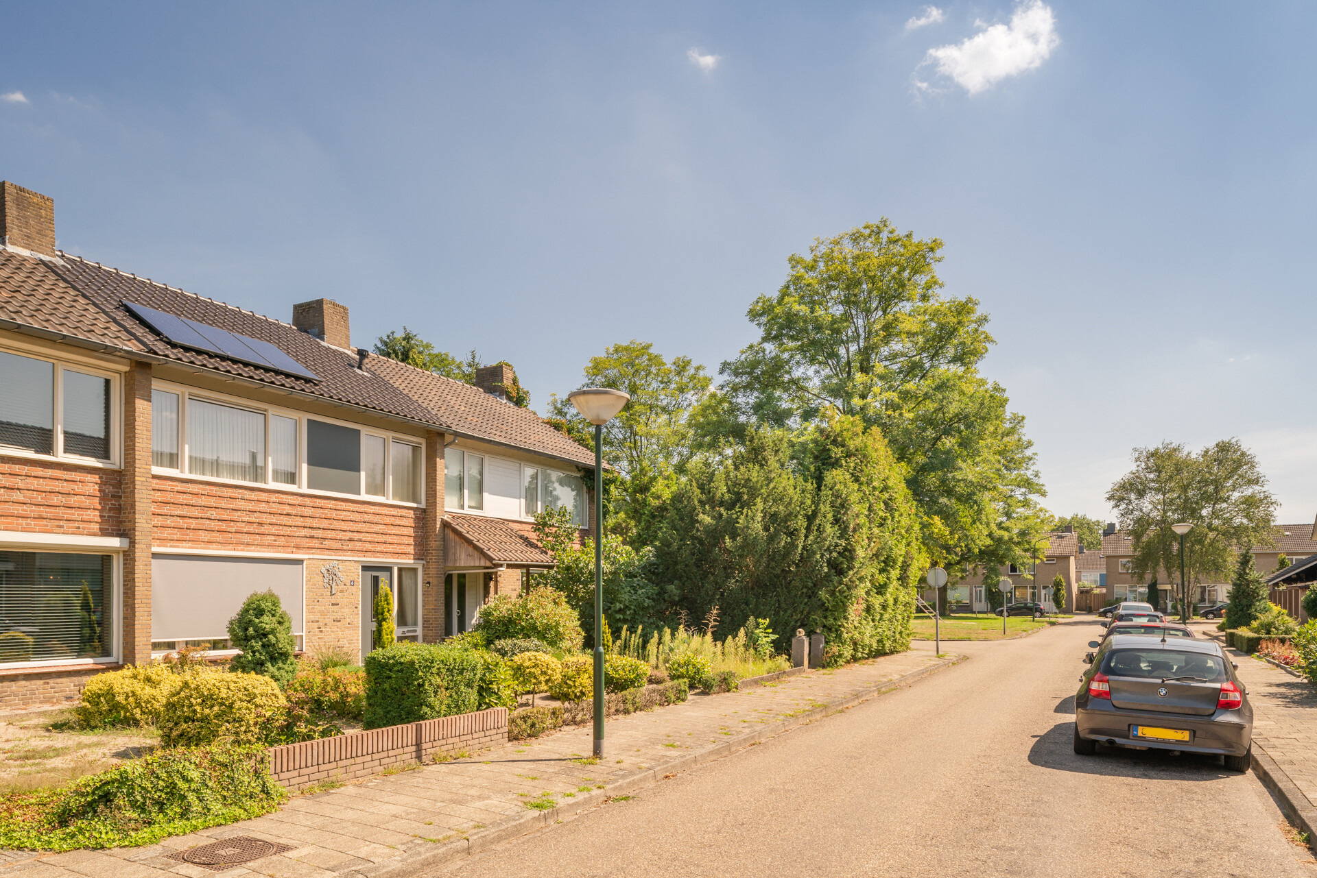 Mimosastraat